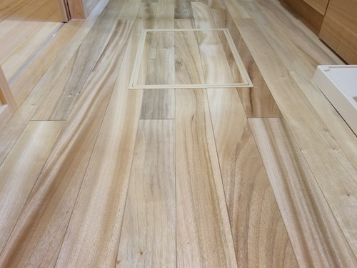 ʼ���ʤĤ��Τ����Τ�������̵������ʪ�ե������ 13