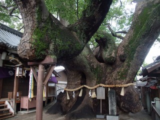 ·°³¸¾À¡¡£·