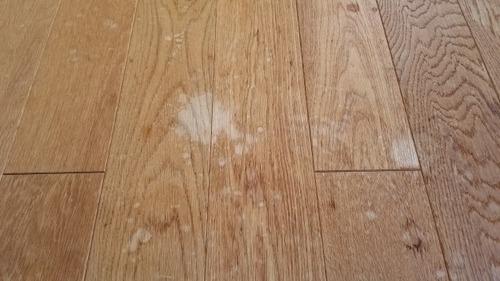 ̵���ե�����󥰤Υ�����������