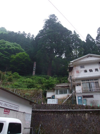 �Ҥ�����������