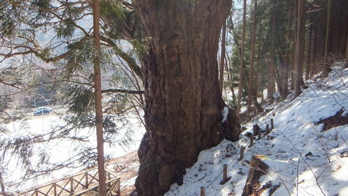 ����Υȥ�����