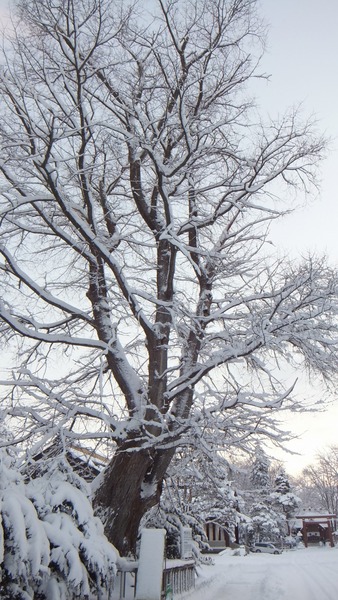 ���ޤ���������