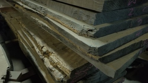 �պ����������