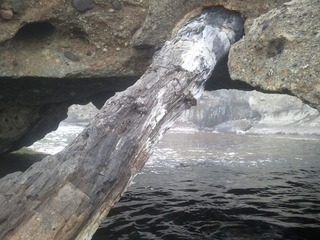 �纬���Ⱥ����η����ڡ�����