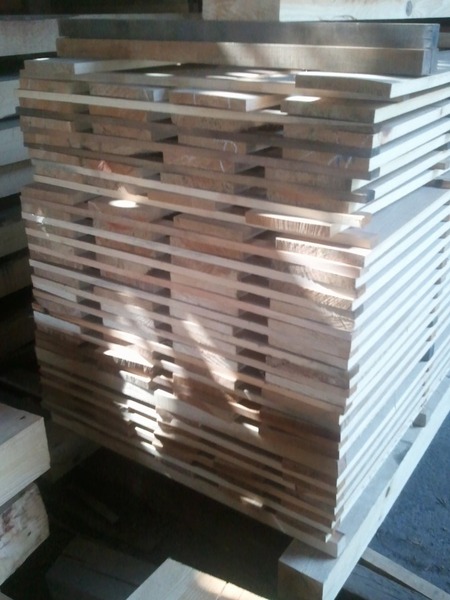 �н��־�����̵������ʪ�ե�����󥰣�