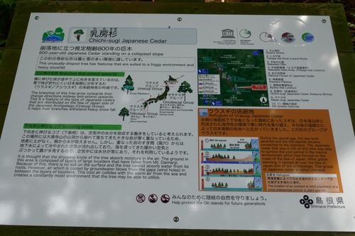 ��˼������