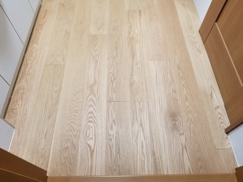 ���ĥե������ ������������ ���쥯����󥰥졼�ɻܹ� 1