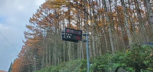 �������ȣ�