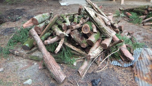 ���ɸ�ŷ���ԡ���Ƿ˷�������������