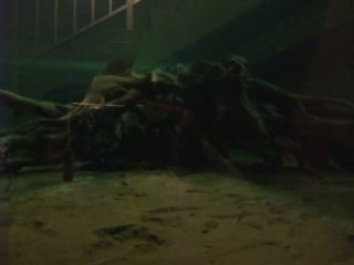 ËäË×ÎÓÇîʪ´Û£±£´