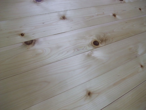 ǽÅÐ¥¢¥Æ¡Ê¤Ò¤Ð¡¦¤Ò¤Î¤¤¢¤¹¤Ê¤í¡ËÉý¹Ìµ¹¤°ìËçʪ¥Õ¥í¡¼¥ê¥ó¥°¡¡£±