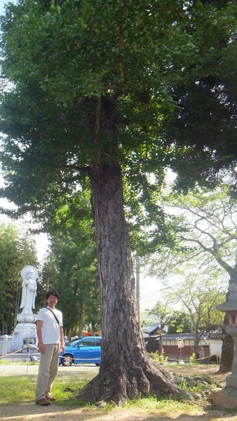 �岦���Υ�åѥ����祦��