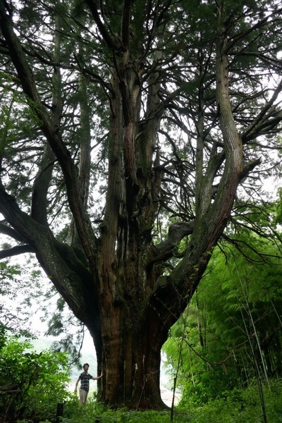 ���Ĥ����������