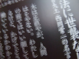 ���˿֤�����