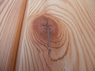 �ԥ奢�顼�������ġ��ͥ����åɡ���