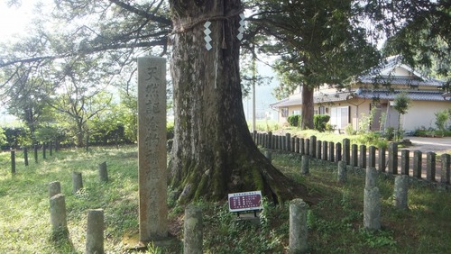 ���֤Υϥ������䣵