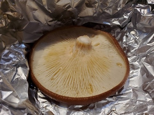 ���Ĥ���Τ��Τ�