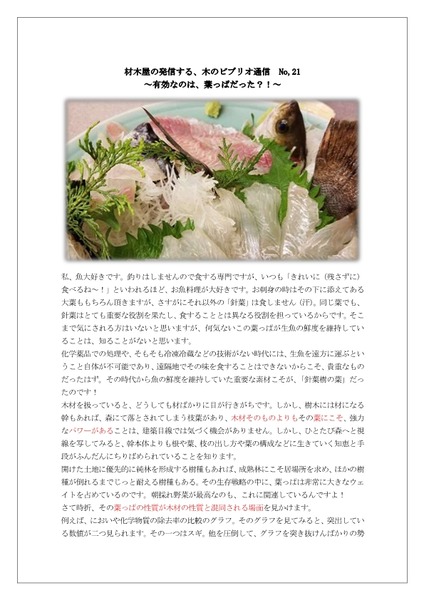 ���ڲ���ȯ�������ڤΥӥ֥ꥪ�̿�No��21 ͭ���ʤΤ��դäѤ��ä���-page1