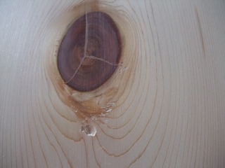 �������������ġ��ݡ���