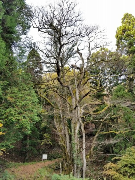 ʼ�˸������ ����祫�ĥ� 3