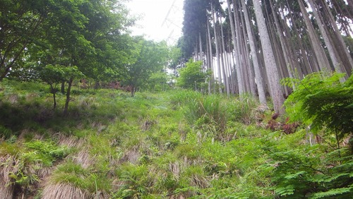 �����Τ룸