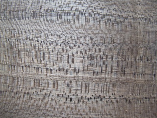 ¶ÌÄØºà¡¡£²