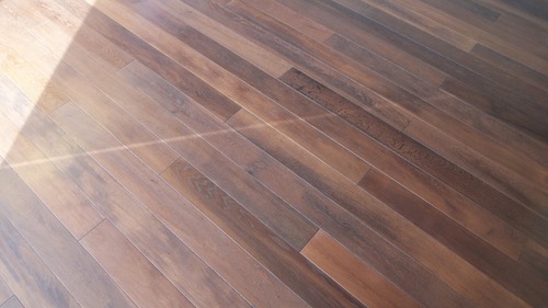 ¥¨¥¤¥ó¥·¥§¥ó¥È¥ª¡¼¥¯Éý¹Ìµ¹¤°ìËçʪ¥Õ¥í¡¼¥ê¥ó¥°´°À®¡¡£±