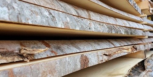 ¸¦½¤²ñ£±£±