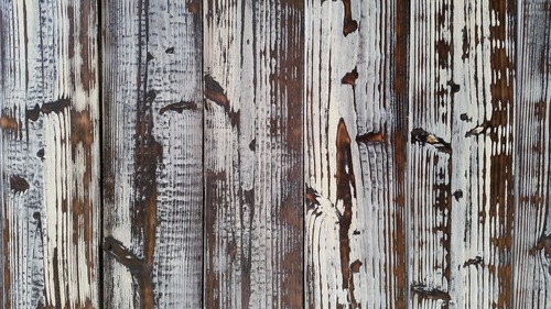 ������ơ������٥̣�