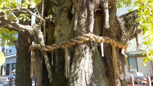 ������Ҥ��祤���祦�ȱ��ζ�ɡ�����