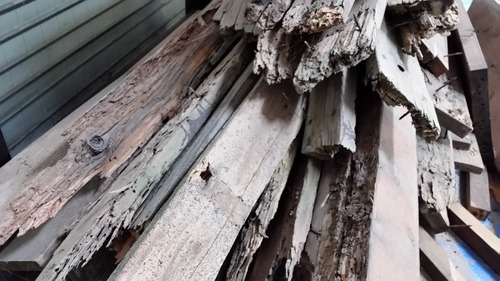 �������ѥǥå��ࣸ