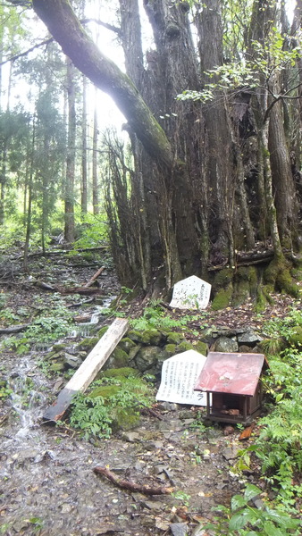 ��Ű�����ܷˣ�