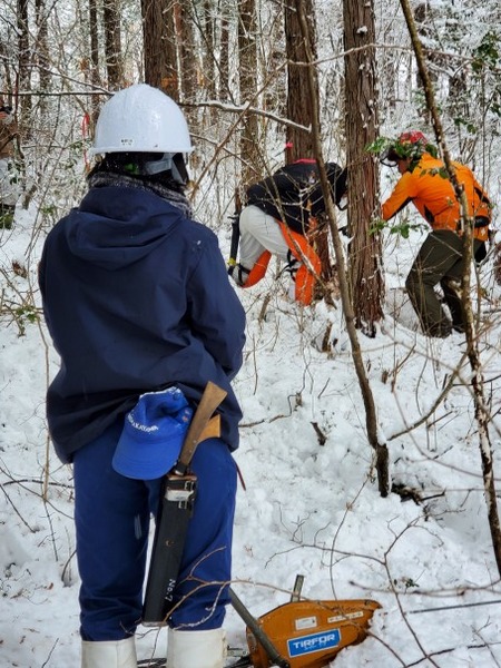 ��׼���־�����Ƥ롢�����͡���������2025-5