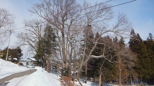 ¸Å²°ÉߤÎÀéËÜ·Ë£´