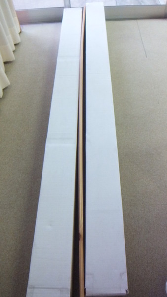 ǽÅФ¢¤Æ¥Õ¥í¡¼¥ê¥ó¥°¤ÎÈ¿¤ê¡¡£±