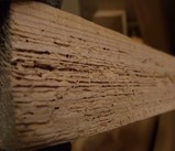 ���䥭�ﳲ�ڡ���