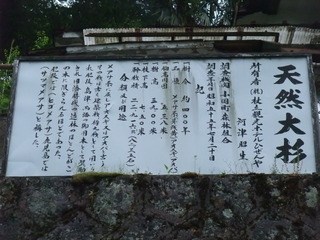 �Ҥ�����������