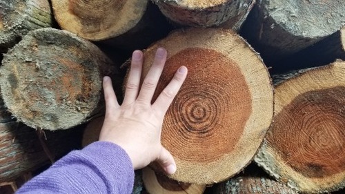 �ٶ�������棱