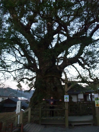 ³÷À¸¤ÎÂ祯¥¹£·