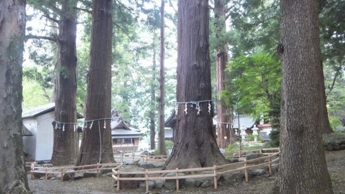 �ϸ����ֿ��Ҥμ��ܿ�����