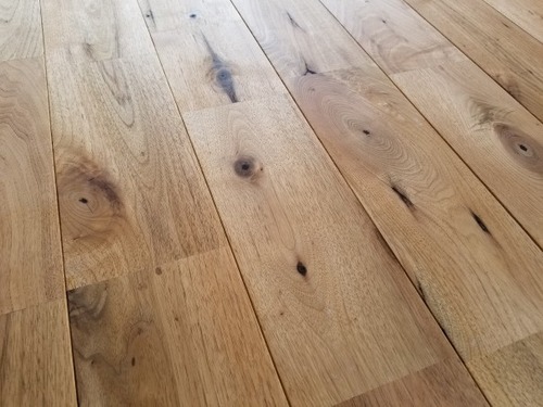 ����ߡʸ���������̵��UNI�ե������ �磻��ɥ�����������