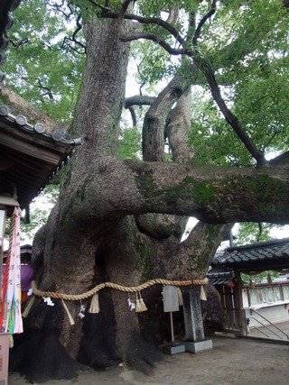 ·°³¸¾À¡¡£³