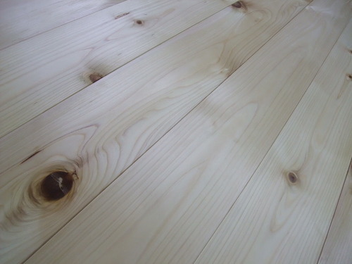 ǽÅÐ¥¢¥Æ¡Ê¤Ò¤Ð¡¦¤Ò¤Î¤¤¢¤¹¤Ê¤í¡ËÉý¹Ìµ¹¤°ìËçʪ¥Õ¥í¡¼¥ê¥ó¥°¡¡£µ