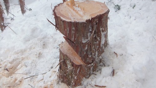 ȲºÎ¼Â½¬£±£´