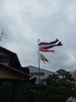 ��Τܤꡡ��������