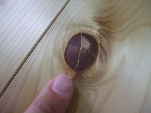 ǽÅÐ¥¢¥Æ¡Ê¤Ò¤Ð¡¦¤Ò¤Î¤¤¢¤¹¤Ê¤í¡ËÉý¹Ìµ¹¤°ìËçʪ¥Õ¥í¡¼¥ê¥ó¥°¡¡£³