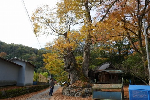 ��ë���޿��ҤΥ��䥭4