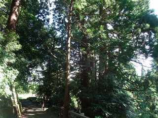 �������ܿ�����