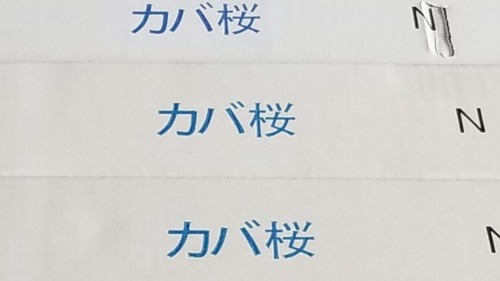 ¥«¥Ðºù¥Õ¥í¡¼¥ê¥ó¥°£²