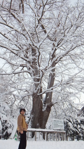 ���ޤ���������